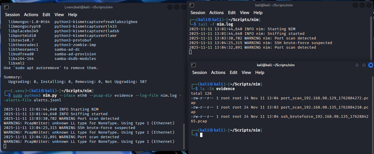 Network intrusion monitor